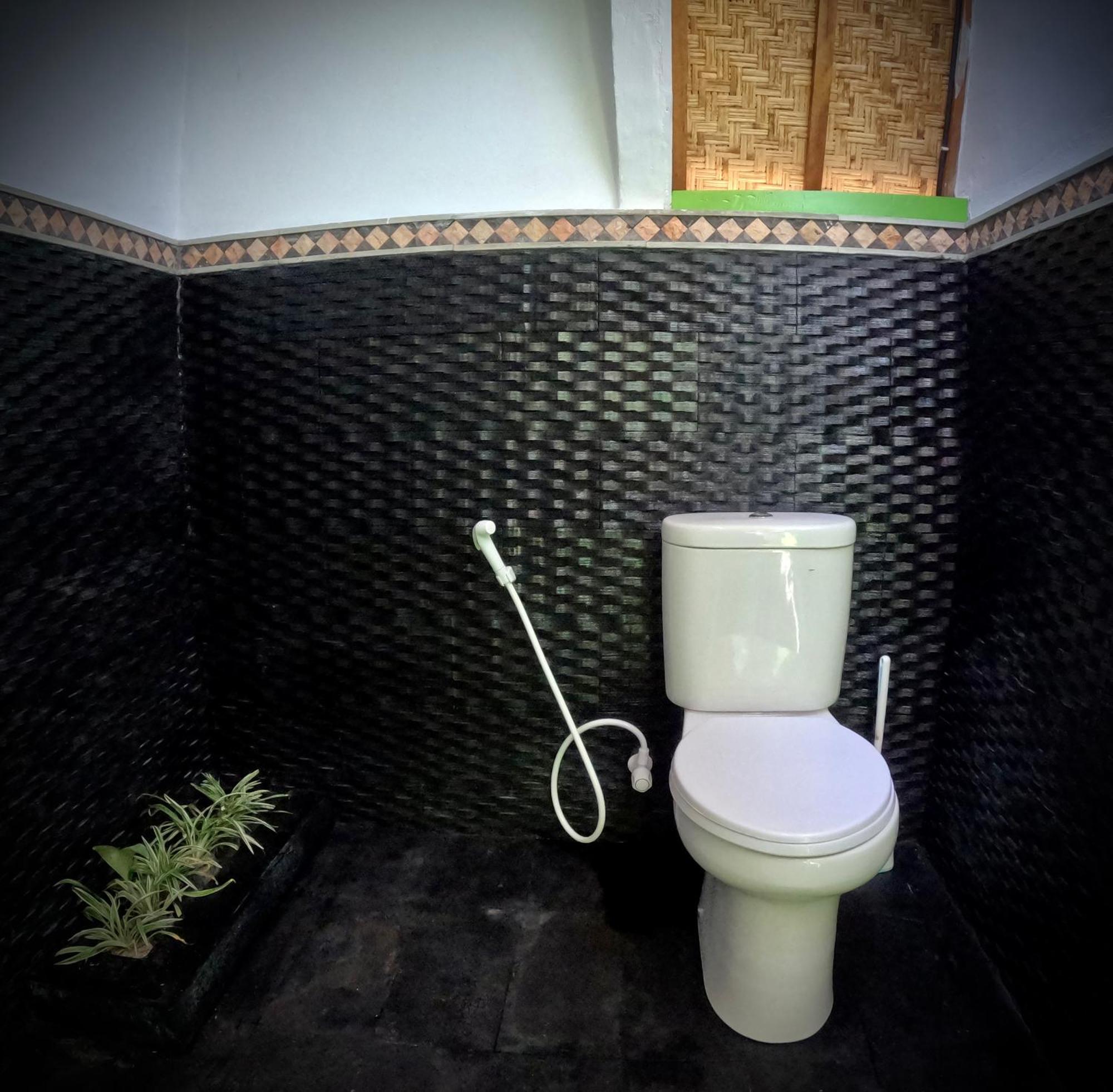 גילי אייר Kaktus Bungalow 4 מראה חיצוני תמונה